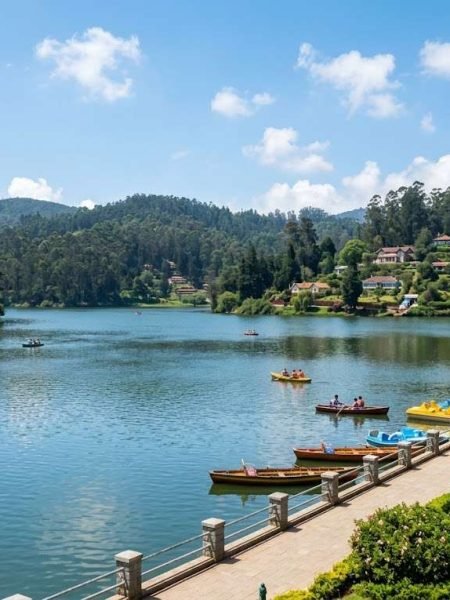 Ooty Lake-Photoroom